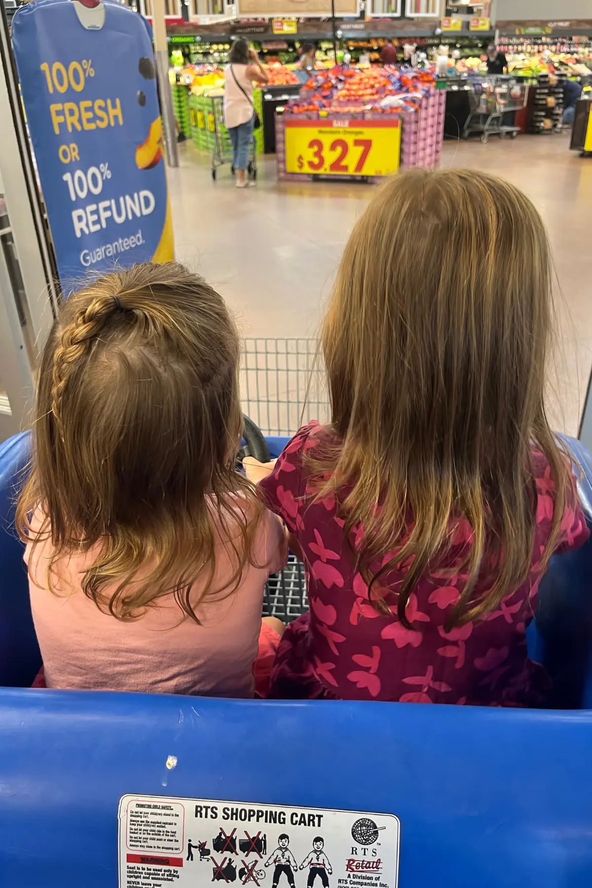 An image of the backs of two little girls in a grocery cart sitting next to each other in a grocery store.