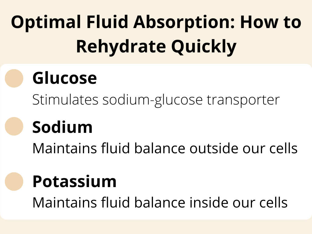 A infographic explaining how glucose, sodium and potassium are used to rehydrate quickly.