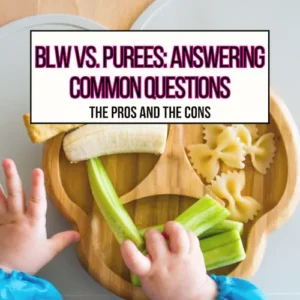 A plate of cut up foods on a divided plate for BLW vs Purees main header image.