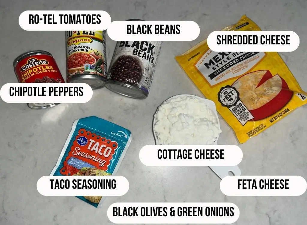 High Protein Dip Ingredients: Can of tomatoes, black beans, chipotle peppers, shredded cheese, cottage cheese and taco seasoning.