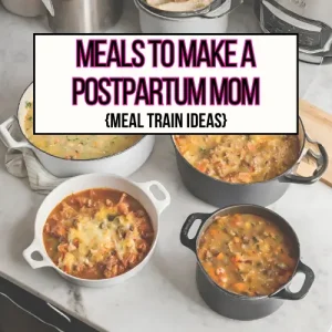 4 different meals in large pots on a counter in the kitchen for meals to make a postpartum mom main header image.