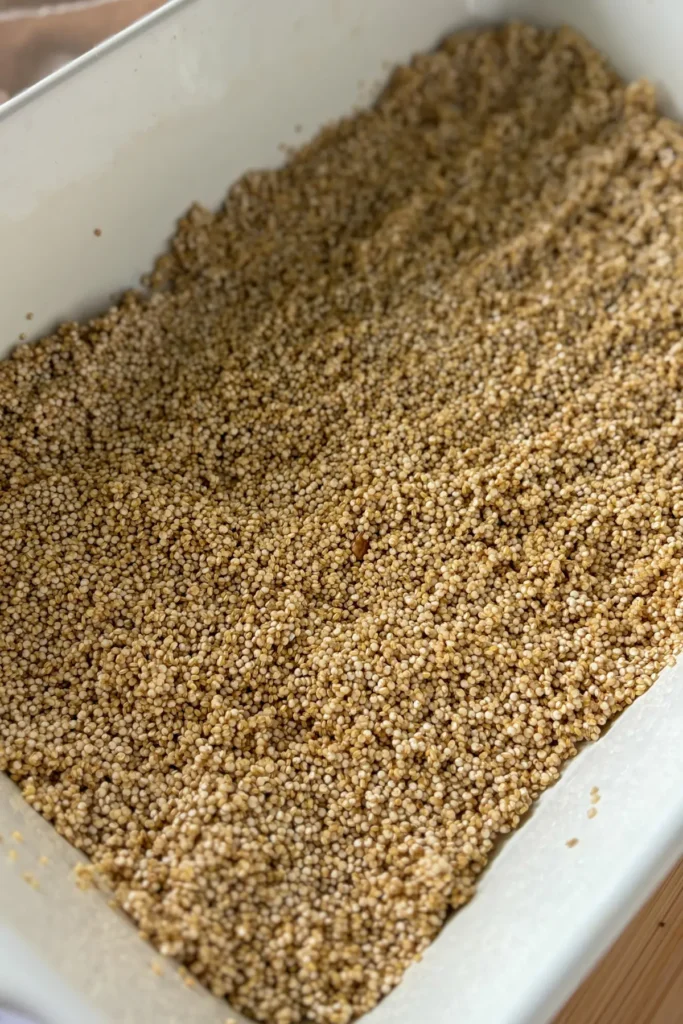 A glass casserole dish with a layer of rinsed quinoa on the bottom.